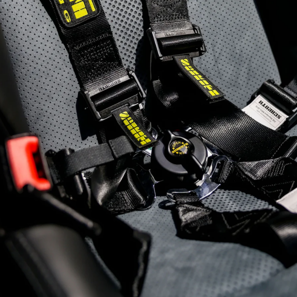 6-Point Racing Harness