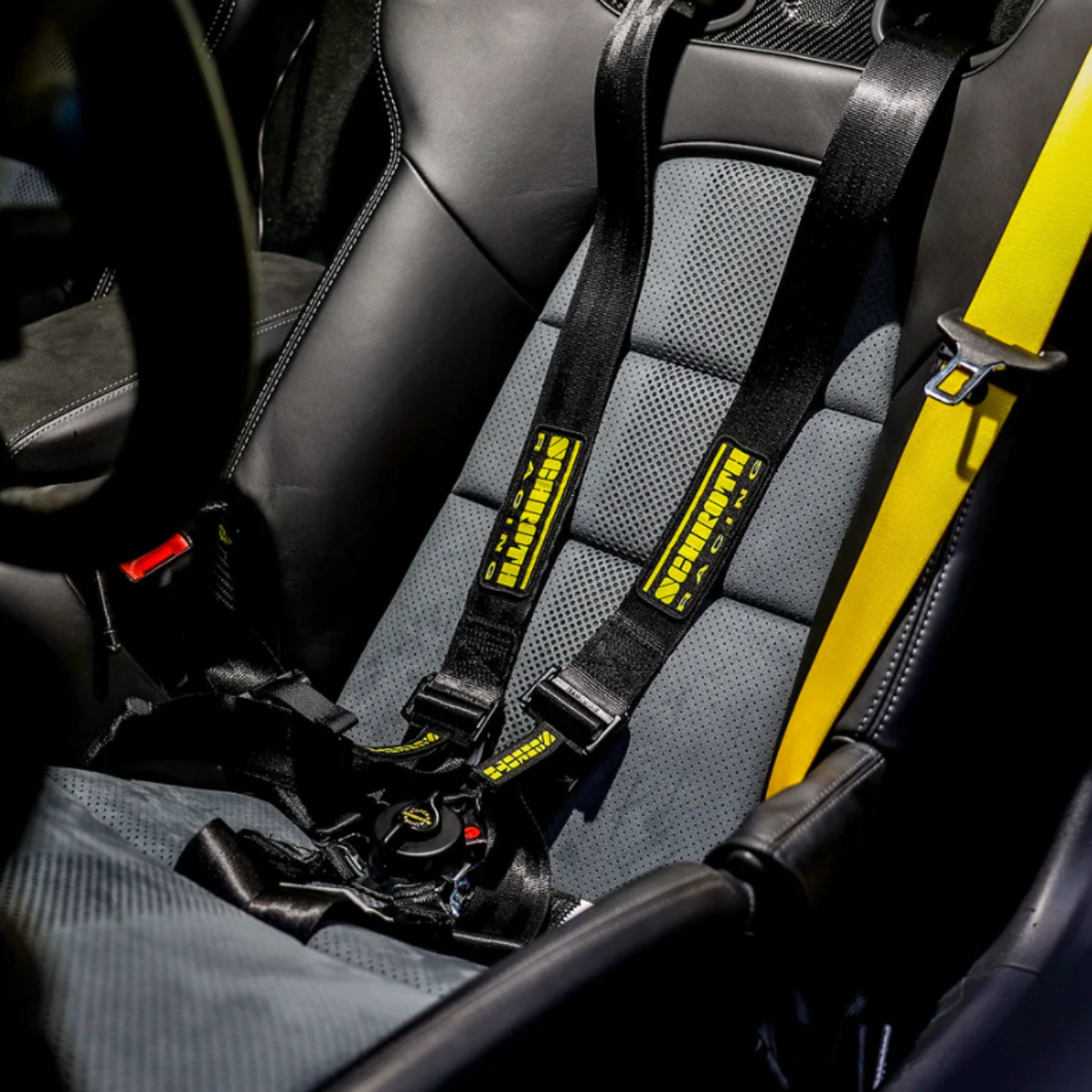 6-Point Racing Harness