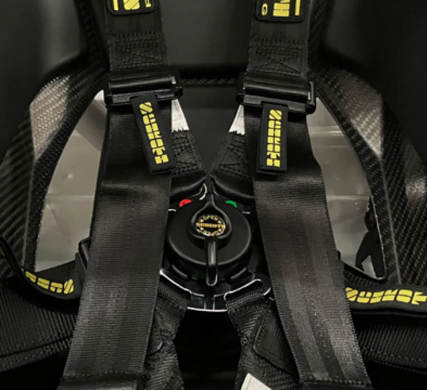 6-Point Racing Harness